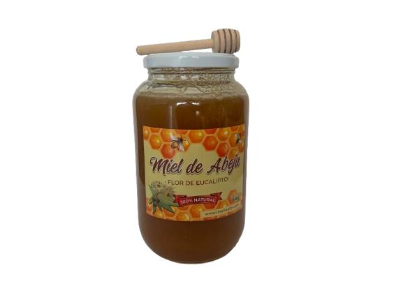 Miel de Abeja 100% Virgen 1 Kg de Flor de Eucalipto