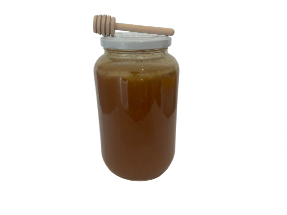 Miel de Abeja 100% Virgen 1 Kg de Flor de Eucalipto